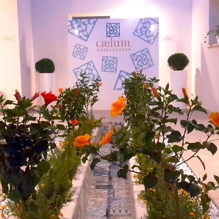 Caelum Case Vacanza Τράπανι Εξωτερικό φωτογραφία