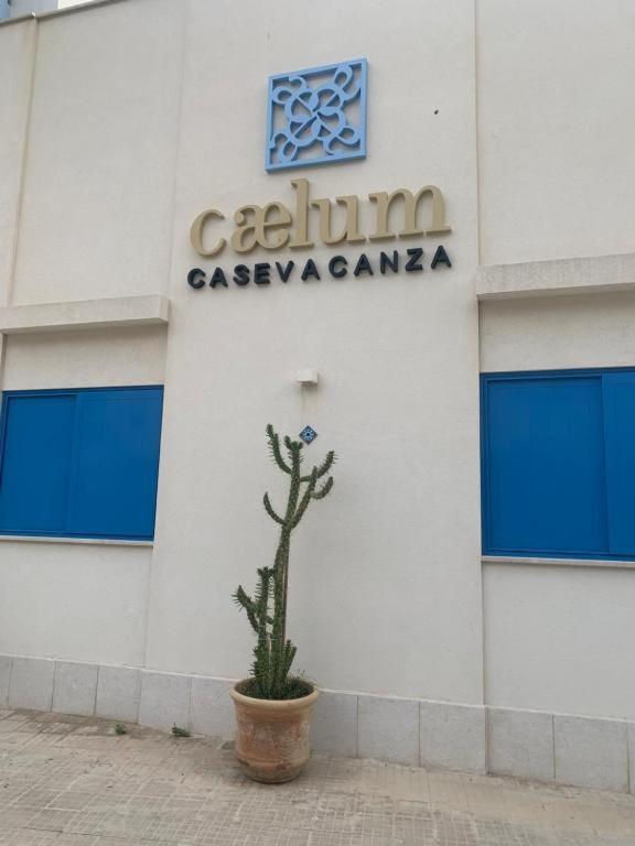 Caelum Case Vacanza Τράπανι Εξωτερικό φωτογραφία