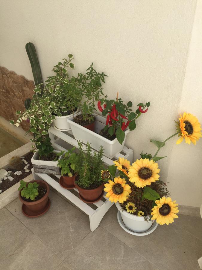 Caelum Case Vacanza Τράπανι Εξωτερικό φωτογραφία